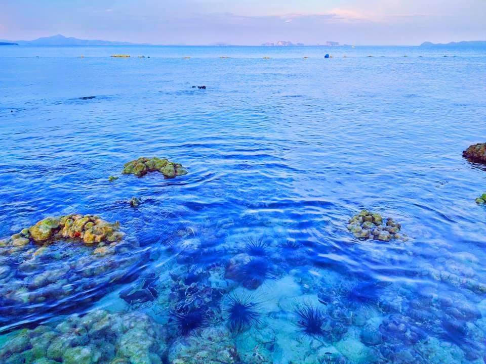 礁石度假酒店 克雷登岛 外观 照片